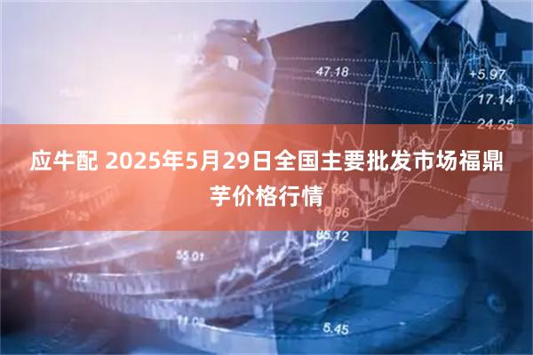 应牛配 2025年5月29日全国主要批发市场福鼎芋价格行情