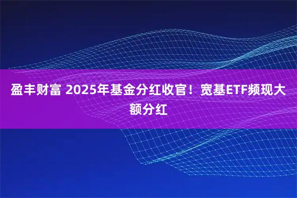盈丰财富 2025年基金分红收官！宽基ETF频现大额分红